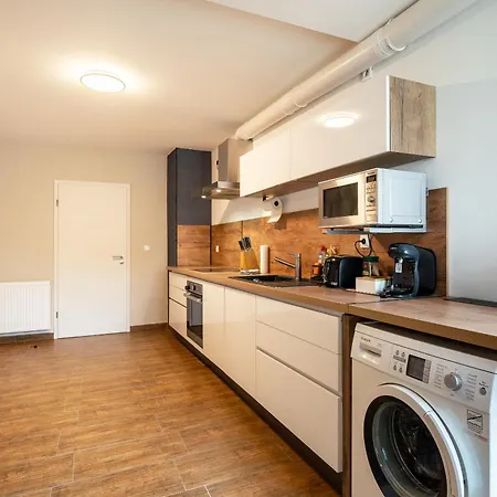 Stylische Grosse 5-zimmerwohnung-wlan-free Parking- Apartman